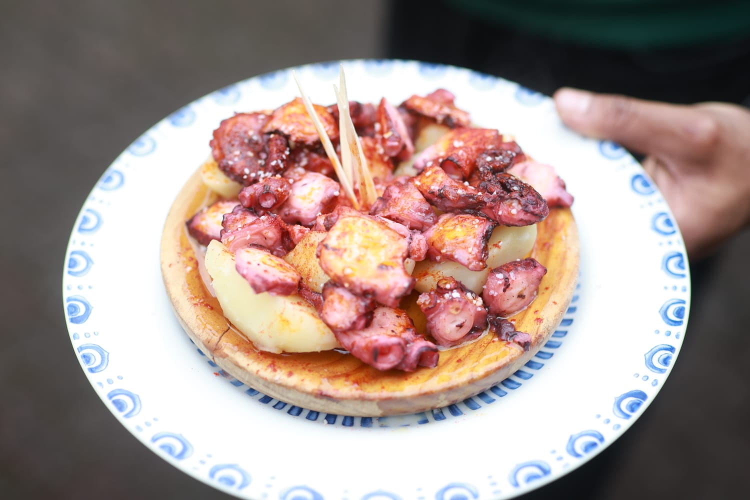 Copia de Copia de IMG-20250112-WA0015